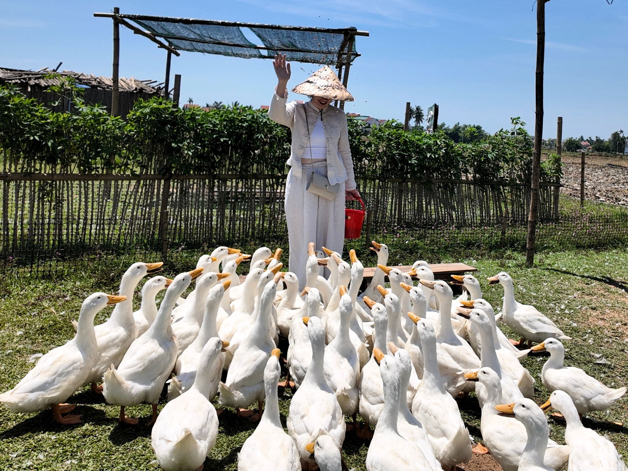 Hoi An Bike Tour: Ride a Buffalo & Duck Farming Experience